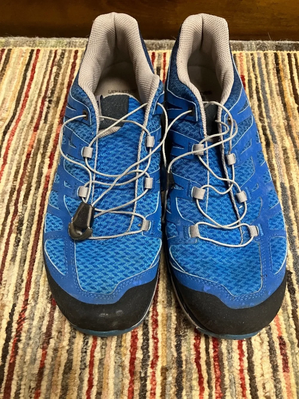 Men's Salomon Synapse Blue Trail Shoes - USA 9.5